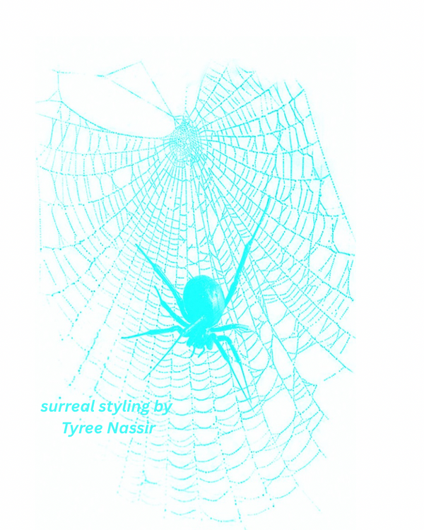 Surrealstylingstore